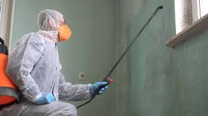 Professional Mold Remediation in Salem, OR